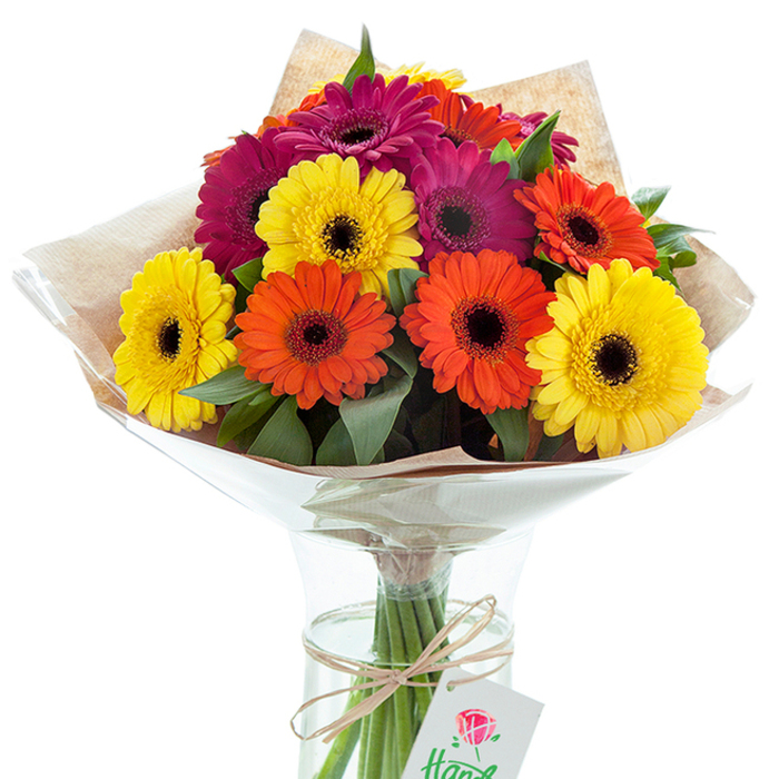 On a bright morning in Twickenham, this stunning bouquet of freshly cut Gerbera daisies bursts with an energy that recalls the lively ambiance of Church Street on market day. Dominated by a joyful medley of sunny yellow, vivid orange, and dramatic fuchsia blooms, each flower features a bold dark center, further accentuating the intensity of its coloured petals. Expert floristry is evident in the artful interspersion of plush green foliage, which adds not only visual interest but a soft natural fragrance that conjures memories of summer strolls through Radnor Gardens. The blossoms are thoughtfully wrapped in layers-a crinkled, clear cellophane inner coat preserving their dewiness, and an outer shell of brown kraft paper lending a rustic grace reminiscent of handmade market bouquets. The full, gathered stems extend into a gleaming glass vase with an elegantly slim shape; cool water shimmers around the stems, promising lasting freshness. Around the arrangement's base, a length of coarse twine is tied in a neat bow, suspending a simple white tag that may bear a discreet logo or heartfelt message-another subtle invitation for personalisation. The bouquet's composition, thorough and brimming with character, makes it ideal for nearly any occasion: a doorstep surprise for a neighbour on Heath Road, a centrepiece for a family table, or a gesture of encouragement for someone recovering nearby. Crafted by hands familiar with the rhythms and colours of West London, this bouquet represents both skilled artistry and a genuine sense of community-an emblem of the pleasures of giving beautiful flowers in Twickenham.
